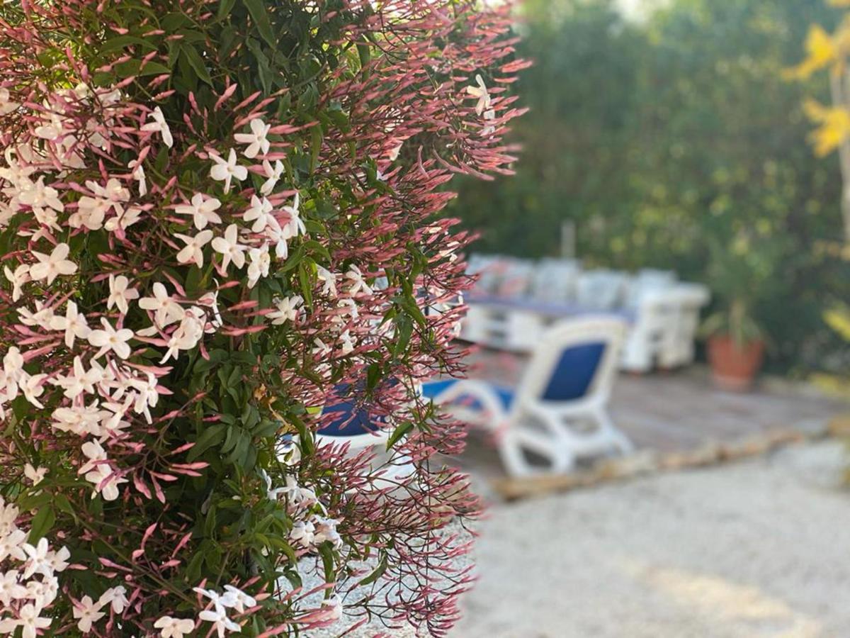 Lovely 2 Bed Apartment In Alcalalí Zewnętrze zdjęcie